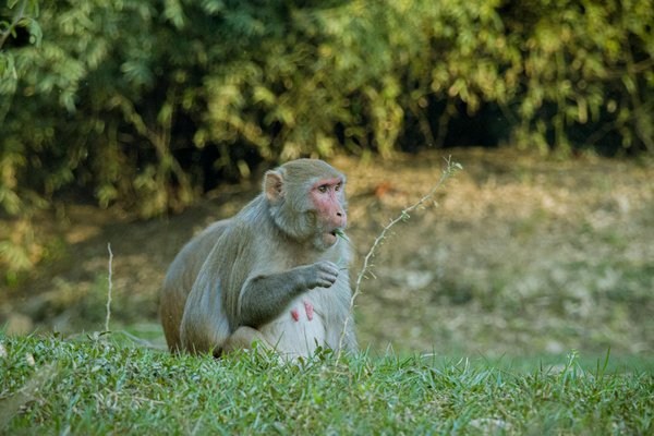 Solidarité et Justice Sociale : Un Duo Indissociable pour un Monde Équitable